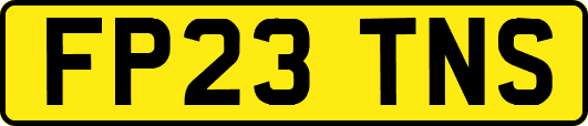 FP23TNS