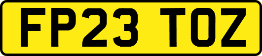 FP23TOZ