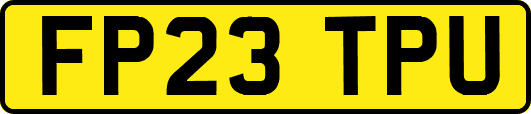 FP23TPU