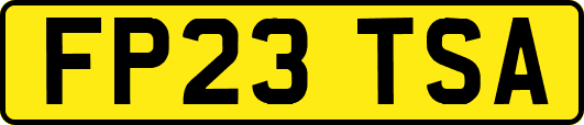 FP23TSA