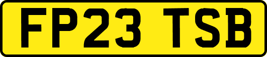 FP23TSB