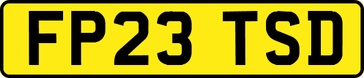 FP23TSD