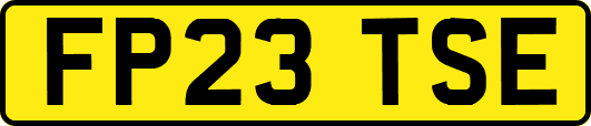FP23TSE