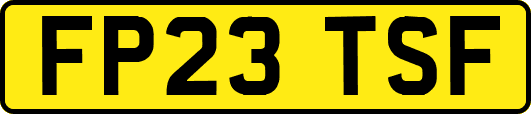 FP23TSF