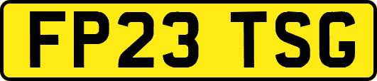 FP23TSG