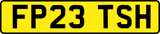 FP23TSH