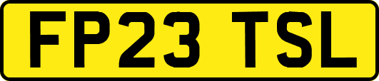 FP23TSL