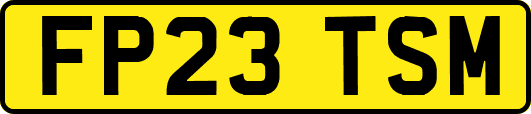 FP23TSM