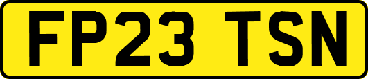 FP23TSN