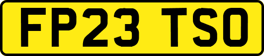 FP23TSO