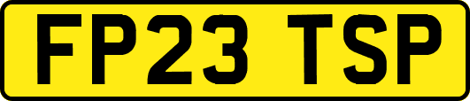 FP23TSP