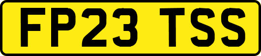 FP23TSS