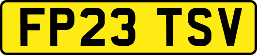 FP23TSV
