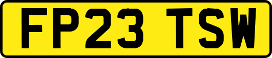 FP23TSW