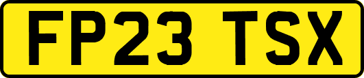 FP23TSX