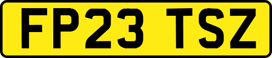 FP23TSZ