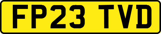 FP23TVD
