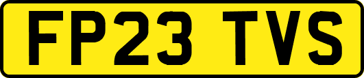 FP23TVS