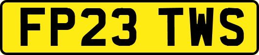 FP23TWS