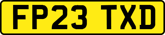 FP23TXD