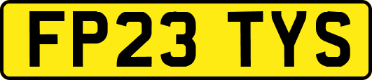 FP23TYS