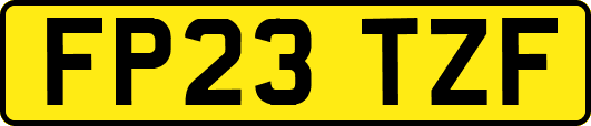 FP23TZF