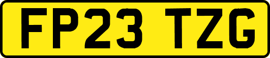 FP23TZG
