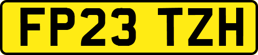 FP23TZH