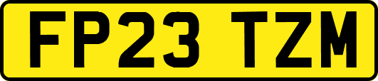 FP23TZM