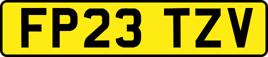 FP23TZV