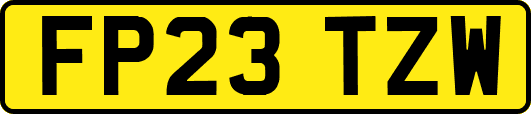 FP23TZW