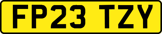 FP23TZY