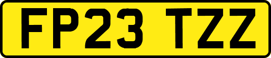 FP23TZZ