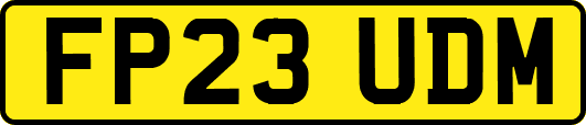 FP23UDM