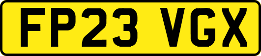 FP23VGX