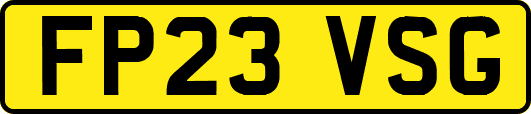 FP23VSG