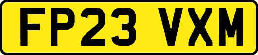 FP23VXM