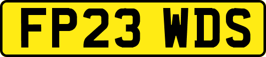 FP23WDS