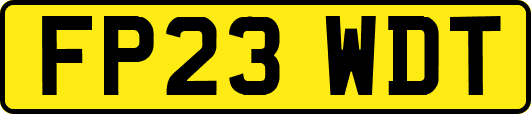 FP23WDT