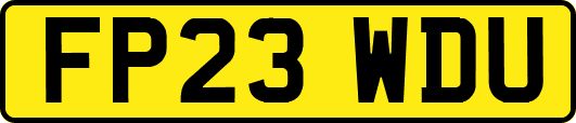 FP23WDU