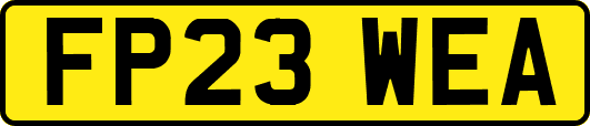 FP23WEA