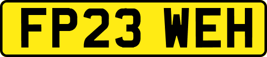 FP23WEH