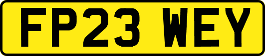 FP23WEY