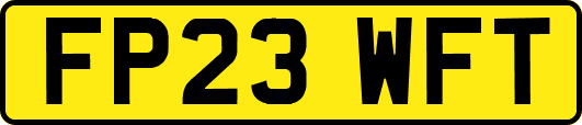 FP23WFT