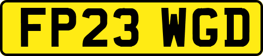 FP23WGD