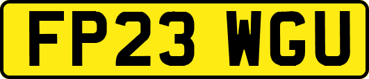 FP23WGU