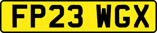 FP23WGX