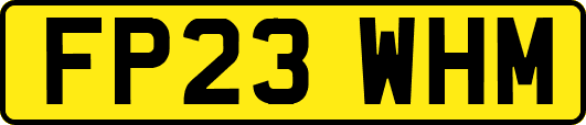 FP23WHM