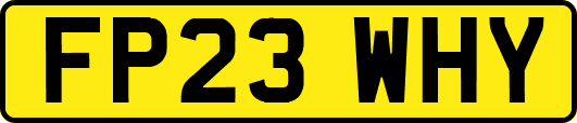FP23WHY