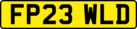 FP23WLD